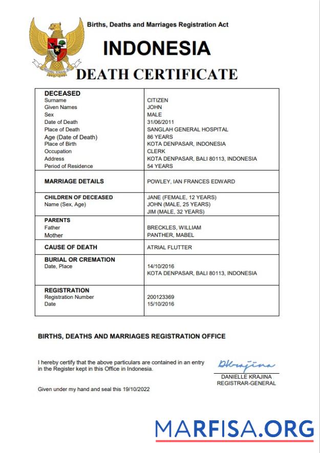 Blank Indonesia vital record death certificate Word and PDF template